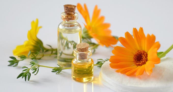 Bringing Traditional and Complementary Medicine Together